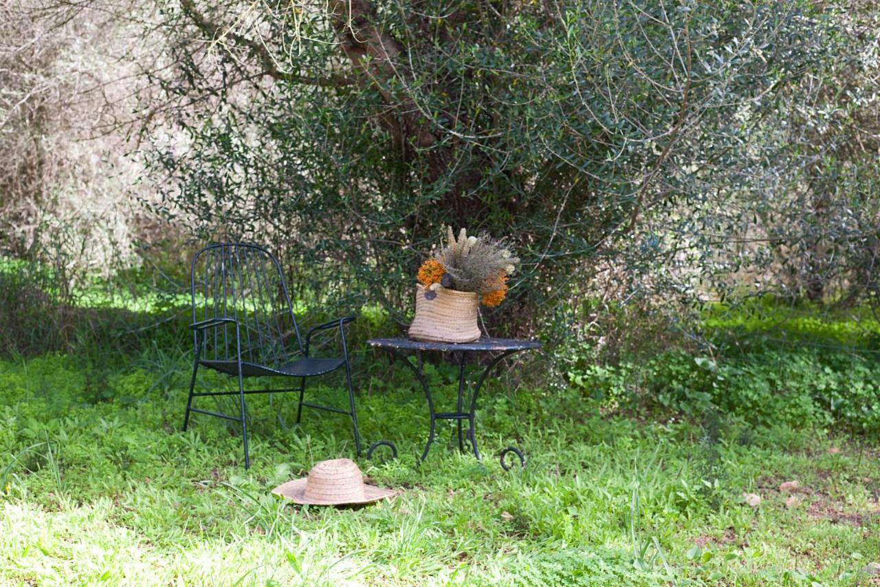Finca Son Sureda Agroturismo Manacor  Exterior photo